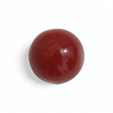 Coral - लाल मूंगा (Laal Moonga) | 9.3 ct from Japan | Certified Loose Gemstone for Astrology & Jewelry